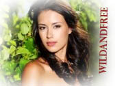 WildAndFree INTENSE